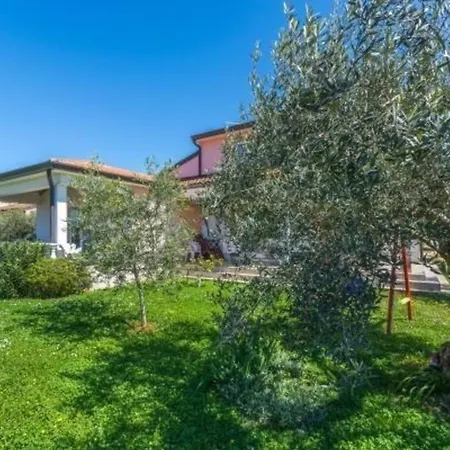 Apartment Fuer 2 Personen Ca 55 M In Novigrad, Adriakueste Kroatien Westkueste Von Istrien *